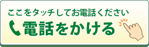 電話問い合わせ